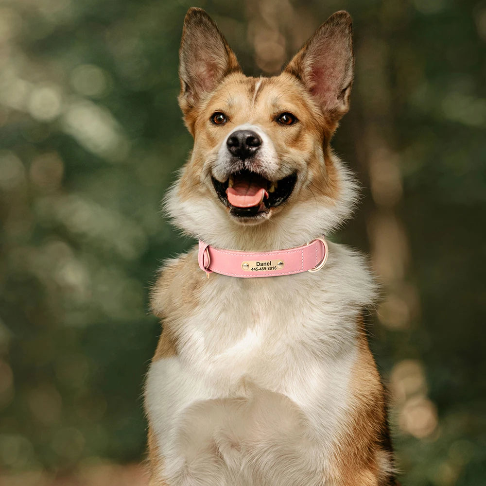 EverCharmed™ Collar Collection