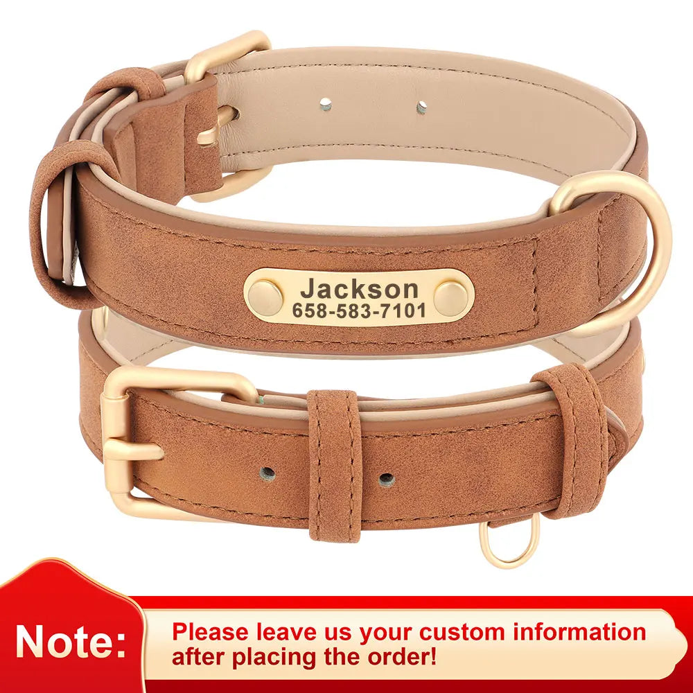 EverCharmed™ Collar Collection