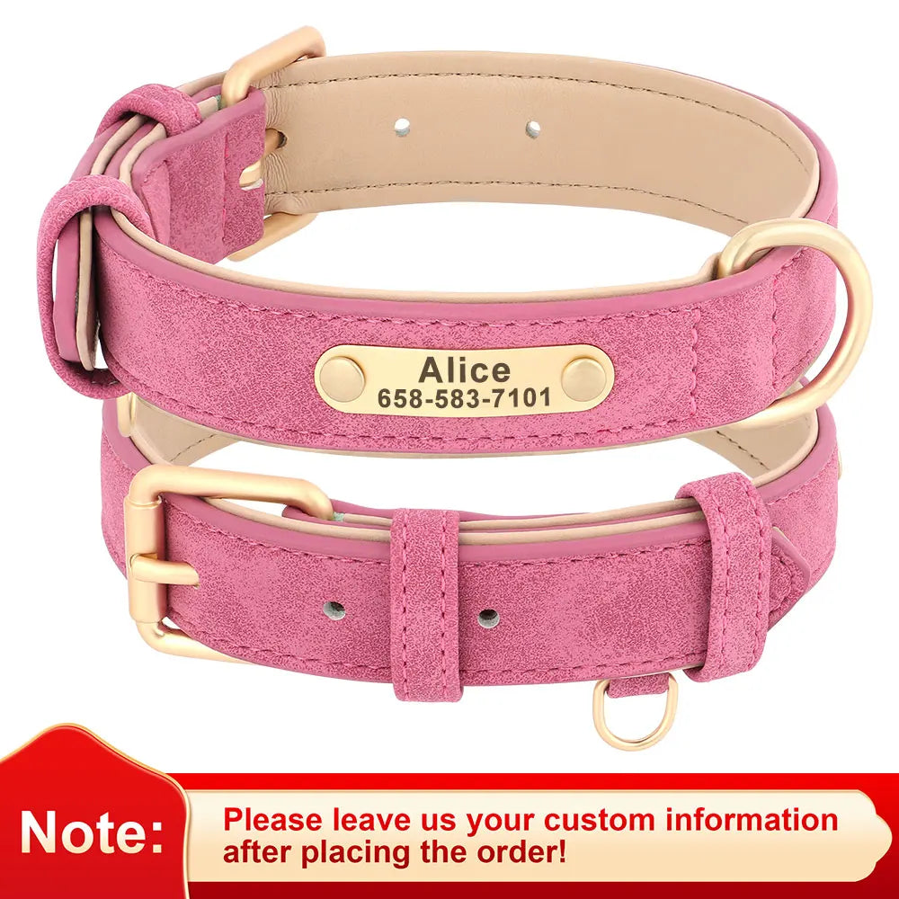 EverCharmed™ Collar Collection