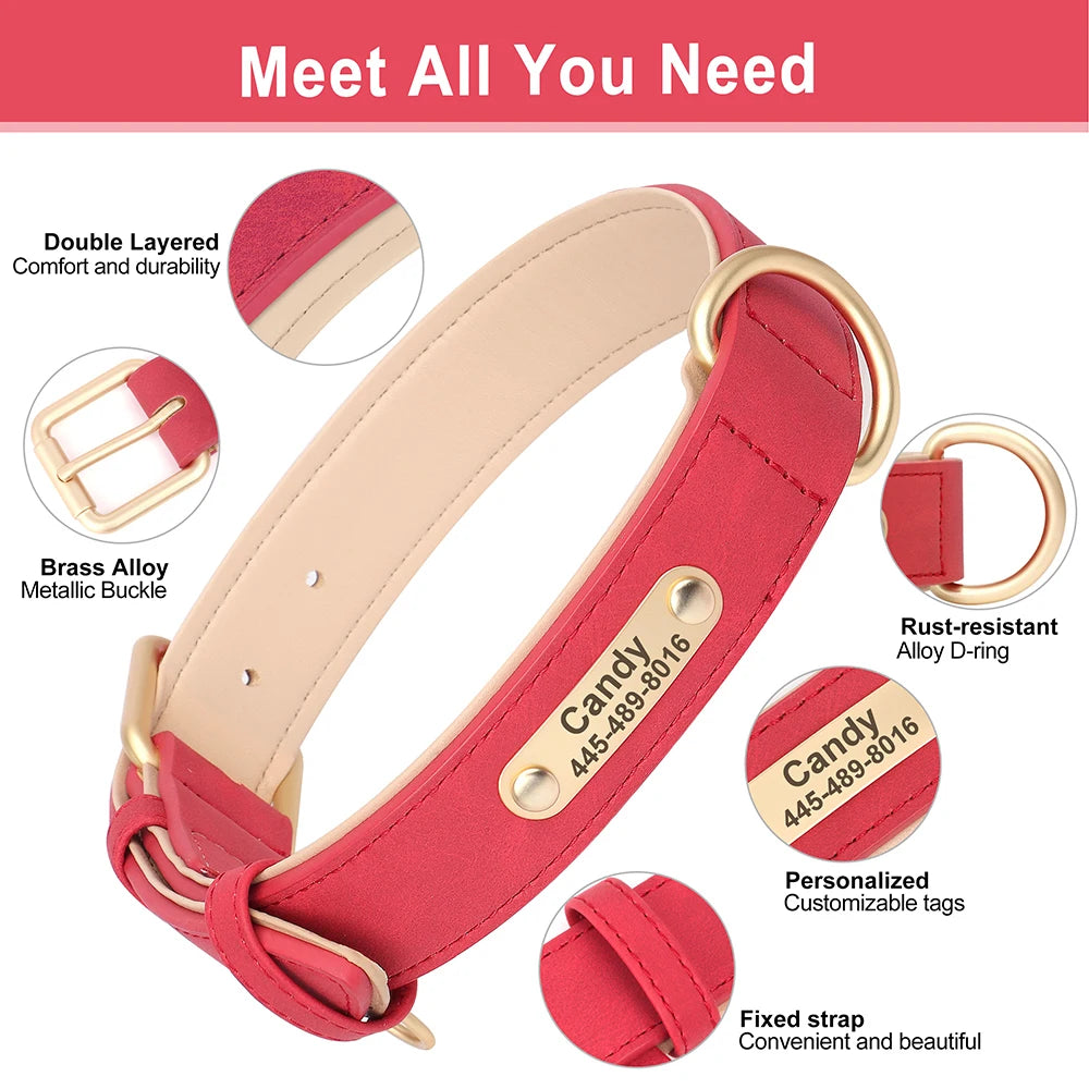 EverCharmed™ Collar Collection