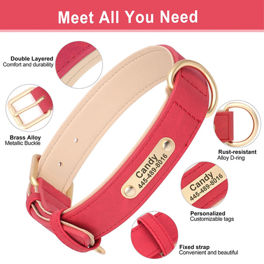 EverCharmed™ Collar Collection