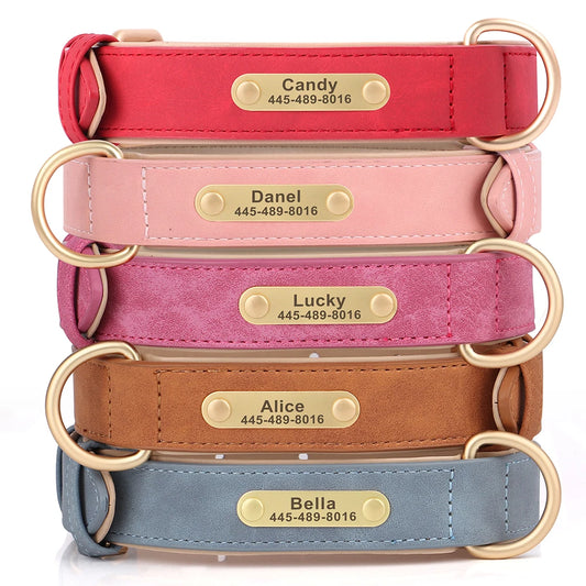 EverCharmed™ Collar Collection
