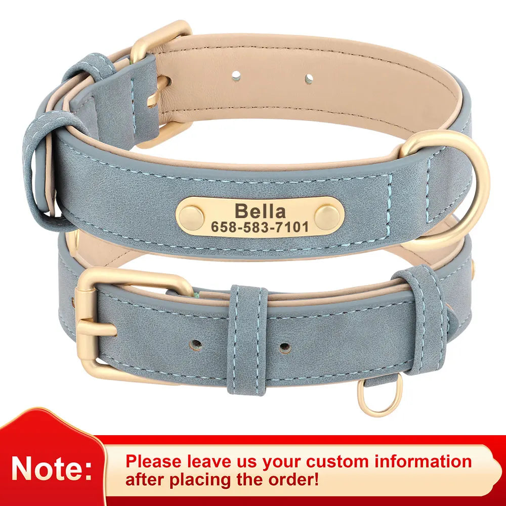 EverCharmed™ Collar Collection