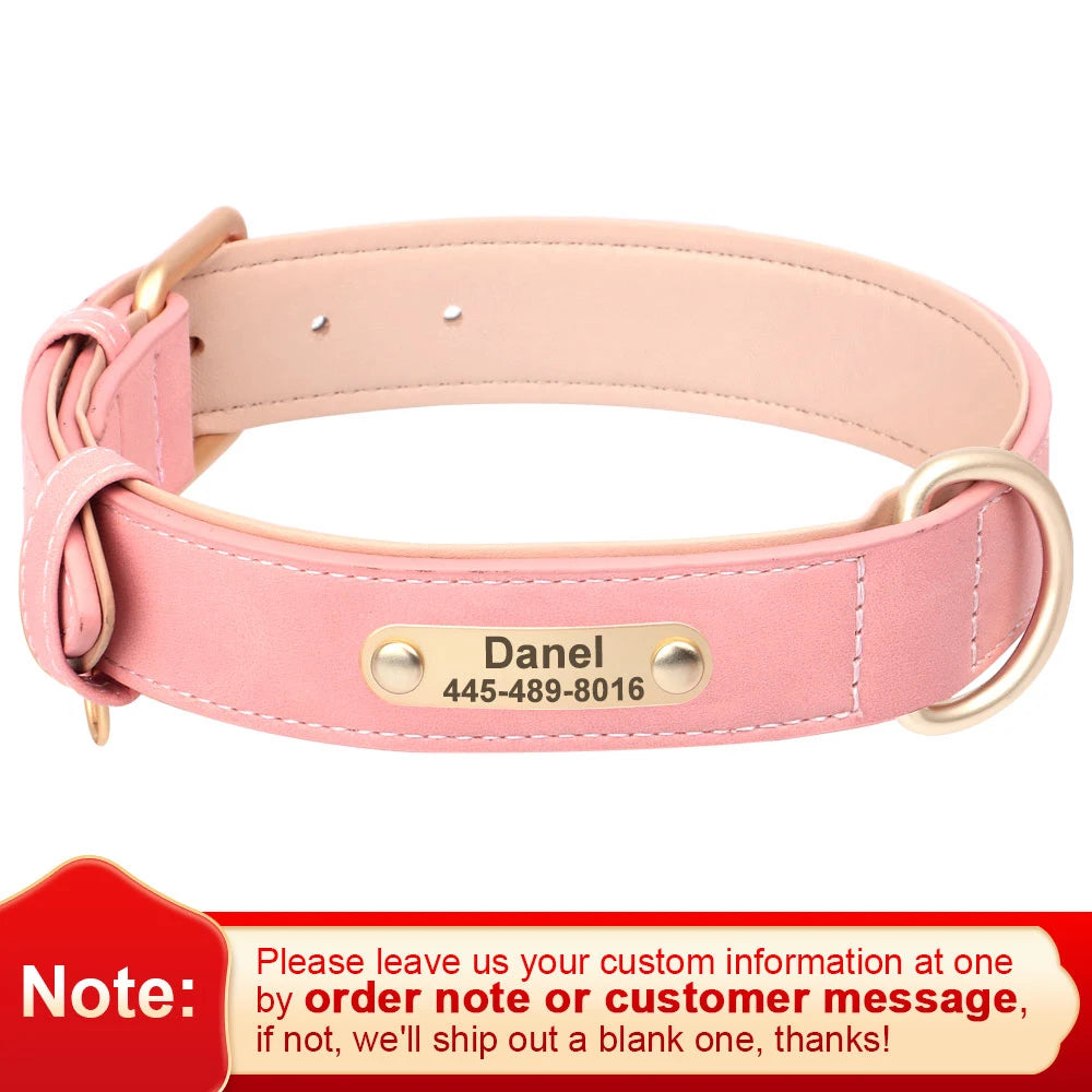 EverCharmed™ Collar Collection