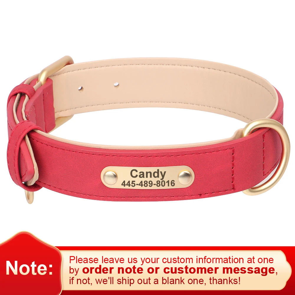 EverCharmed™ Collar Collection